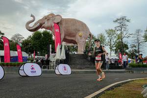 BIB: 
                            <button type="button" onclick="openModal(26528569)" class="btn btn-primary btn-sm float-right btn-popup" data-toggle="modal" data-target=".modal-high-quality">
                        <i class="fas fa-shopping-cart"></i> Add to Cart
                    </button>
                                            <button type="button" onclick="isThisMe(26528569, true)" class="btn btn-success btn-sm float-right btn-popup btn-isme hidden" data-toggle="tooltip" data-placement="bottom" title="นี่คือรูปของคุณใช่ไหม คลิกที่นี่เพื่อเอาเข้าอัลบั้ม">
                        <i class="fas fa-plus"></i> Add to album
                    </button>
                    <button type="button" onclick="isThisMe(26528569, false)" class="btn btn-warning btn-sm float-right btn-popup btn-isnotme hidden">
                        <i class="fas fa-ban"></i> Remove from album
                    </button>